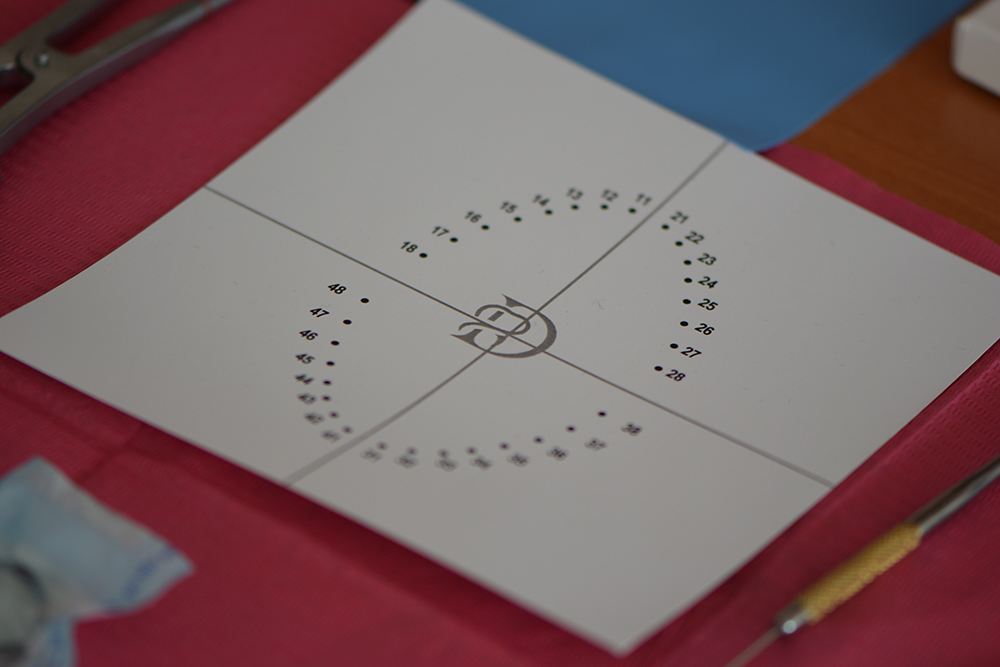 Workshop 18 ianuarie