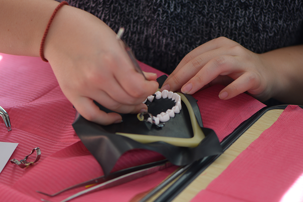 Workshop 18 ianuarie