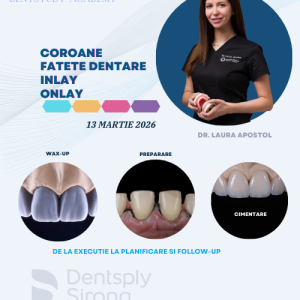 Workshop Restaurari Ceramice Workshop Restaurari Ceramice