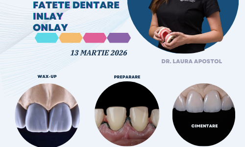 Workshop Restaurari Ceramice